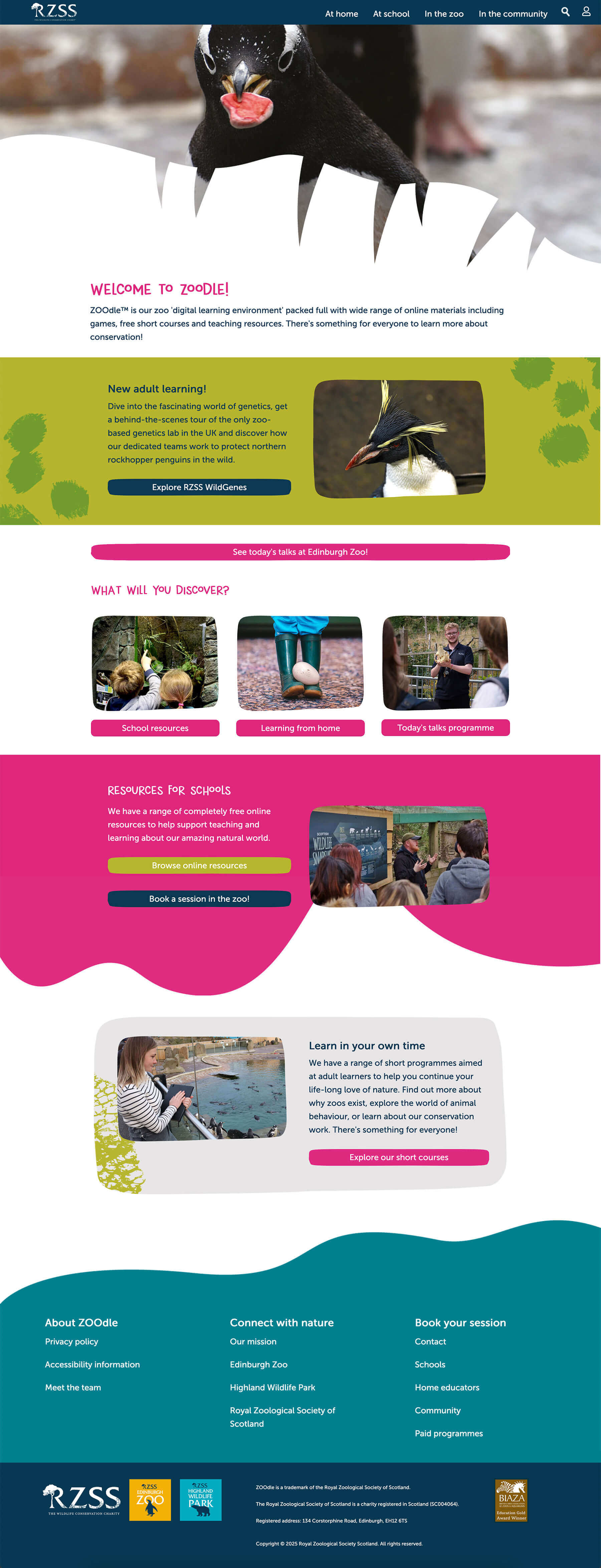 a screenshot of the top of the ZOOdle website on desktop