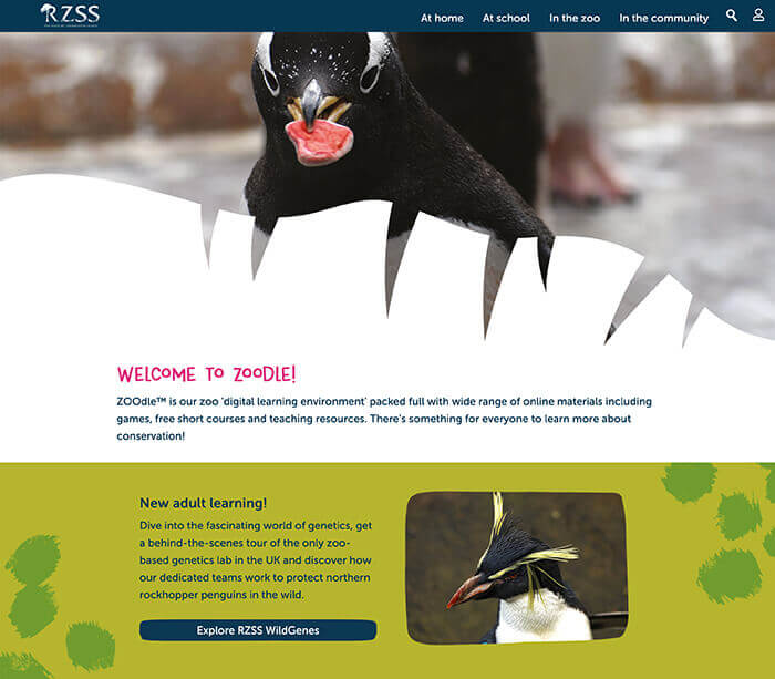 a screenshot of the top of the ZOOdle website on desktop
