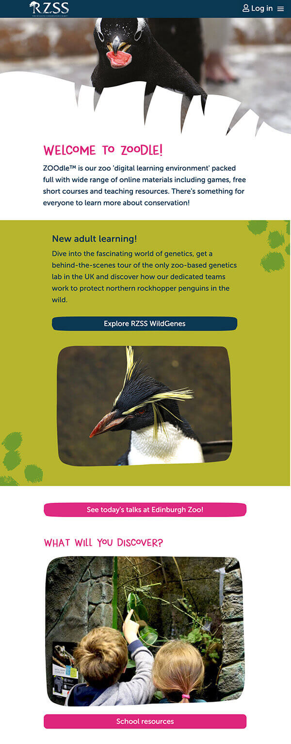a screenshot of the top of the ZOOdle website on a mobile device